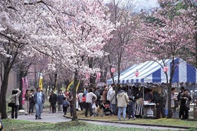 湯沢町　春